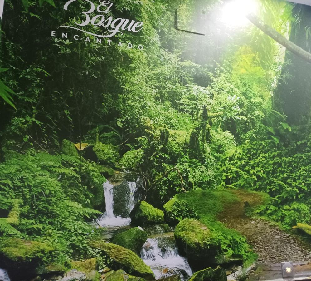 Hostal El Bosque Encantado Толедо Екстериор снимка